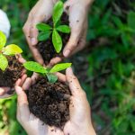 Eco-Friendliness Is A Manner Of Life