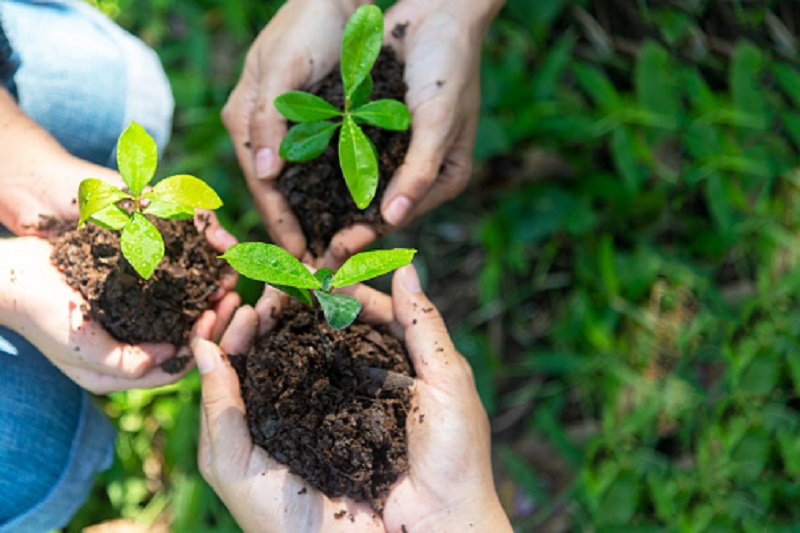Eco-Friendliness Is A Manner Of Life