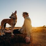 帶同愛犬一起周遊列國 飽覽世界各地迷人景致