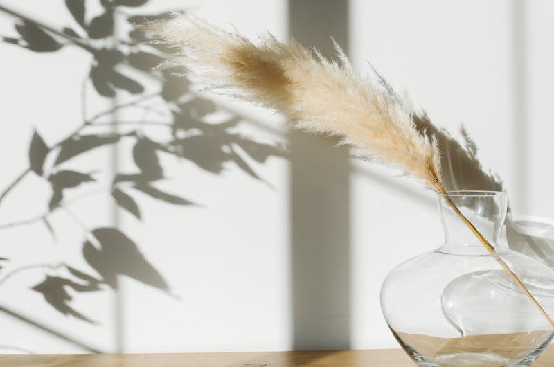 Unleash Your Inner Interior Designer – Transforming a Room for Rent into a Cozy Oasis
